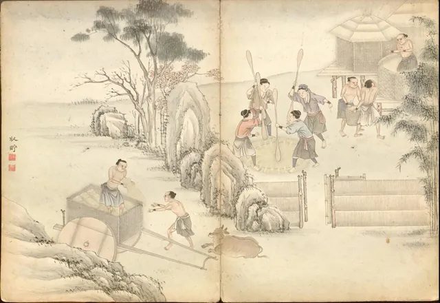 風俗畫冊中舂米與收藏穀物的場景,《番社采風圖考》的〈舂米〉一條,就寫到杵臼輕敲的聲音