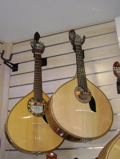 兩把葡萄牙吉他(guitarra portuguesa),分別是科英布拉型和里斯本型;在葡萄牙,guitarra 指的是這種琴,一般吉他反而叫 viola。