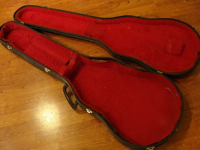 1970 年代初 Gibson Les Paul 原廠琴盒內裡的粉紅色絨布,延續了 Gibson 從 1930 年代起偏愛的鮮豔內襯