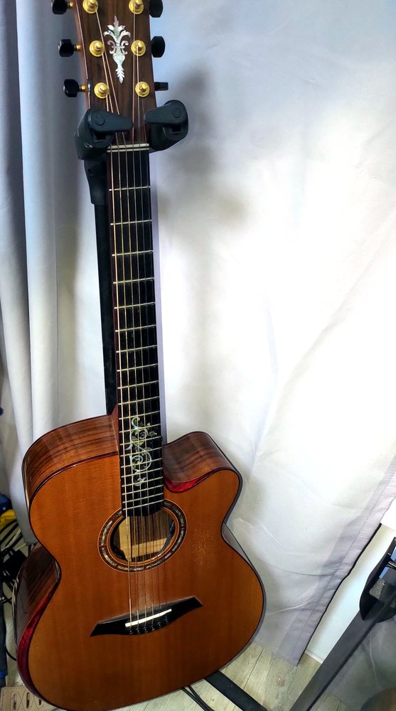 Ayers Passion Deluxe ACXW-E
